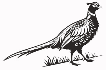 pheasant sihouette black vector
