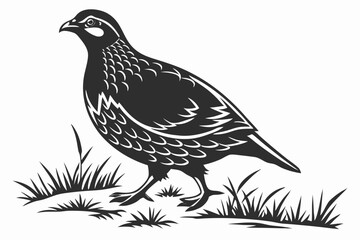 partridge silhoette black vector