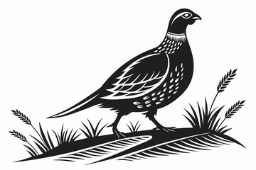 Fototapeta premium partridge silhoette black vector
