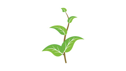 Plant 5: Abstract vector leaves in flat style