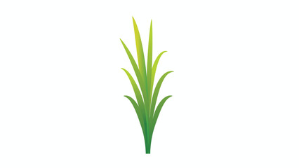 Plant 15: Blades of grass vector design on white background