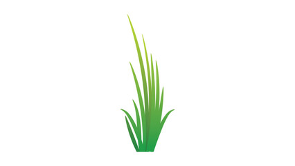 Plant 9: Blades of grass vector design on white background
