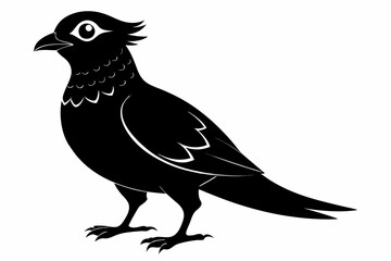 nightjar sihouette black vector