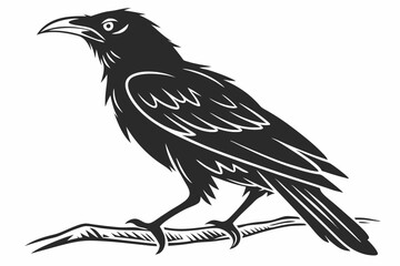 mynah sihouette black vector