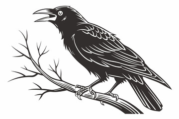 mynah sihouette black vector