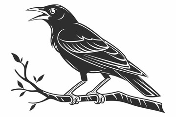 mynah sihouette black vector