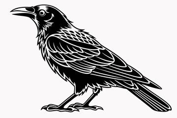 mynah sihouette black vector
