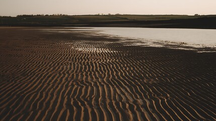 Naklejka premium Beach sand ripple patterns by seaside