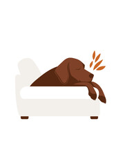 Playful dog lounging on a white sofa at home  