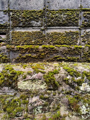 Close Up Photo of Stone Wall with Green Moss.