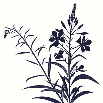 willowherb with leaves