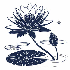 black and white water lily