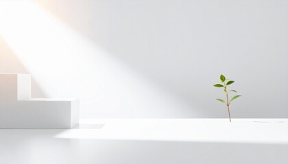 Obraz premium Minimalist White Product Display with Sunlight and Plant Sprout.