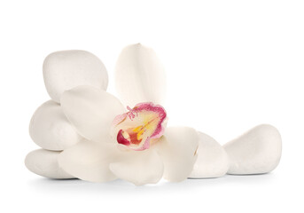 Beautiful orchid flower and spa stones on white background