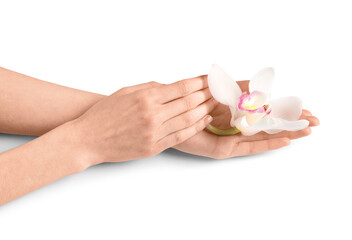 Beautiful female hands with orchid flower on white background