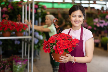 Portrait of female worker in a greenhouse where flowers are grown