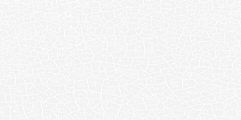 White broken earth texture background  paper texture background. eps 10