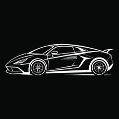 Fototapeta premium Monochrome Line Art Illustration