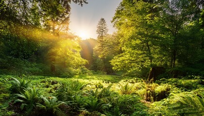 Obraz premium lush greenscape sunlight