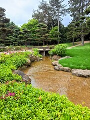 japanese garden with pond