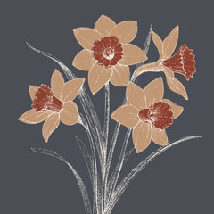 Beautiful daffodils with soft beige petals and rich red centers create charming floral arrangement against dark background