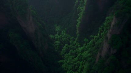 Verdant canopy nestled in deep canyon