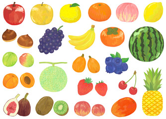 フルーツのイラストセット ベクター素材