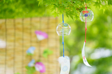 木陰で揺れる風鈴とすだれに朝顔の花