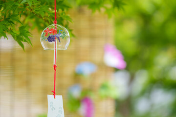 木陰で揺れる風鈴とすだれに朝顔の花