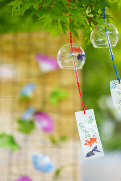 木陰で揺れる風鈴とすだれに朝顔の花