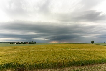 Wheat fields under a cloudy sky in Bavaria © Wirestock
