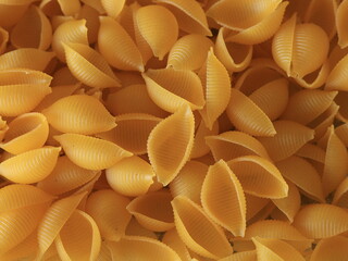 raw pasta shells