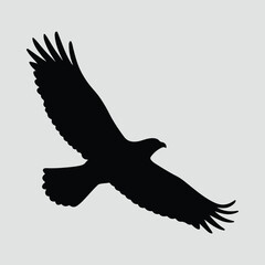 Silhouette Eagle soars with spread wings Illustration Vector