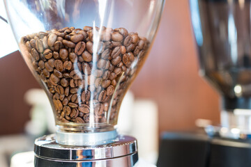 Freshly roasted coffee beans into the grinder close up shot at coffee shop.
