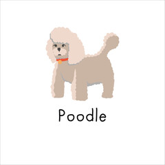 Cute cartoon poodle dog illustration