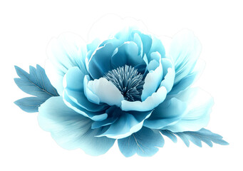 Obraz premium Elegant blue flower nature close-up view serenity isolated on transparent background