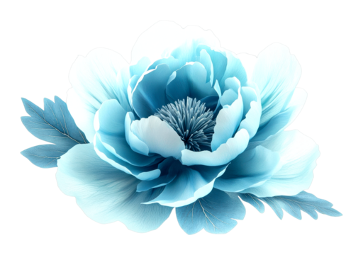 Elegant blue flower nature close-up view serenity isolated on transparent background