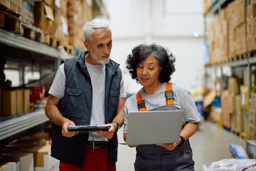 Mature worker and her colleague working on laptop at distribution warehouse.