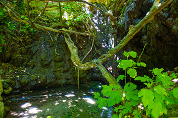 The Aphrodite's bath in Akamas peninsula in Cyprus