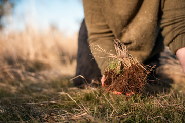 regenerative organic farmer, working with cows on a cattle farm in the yards and field while also studying soil samples and looking at plant growth in a farm. practicing sustainable agriculture