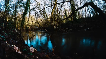 Foto op Plexiglas Mystical river flowing through autumn forest © sulis