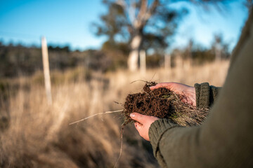 female soil scientist agronomist farmer looking at soil samples and grass in a field in spring....
