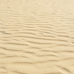 Fototapeta premium Beige Sand Texture with Subtle Waves Under Natural Light