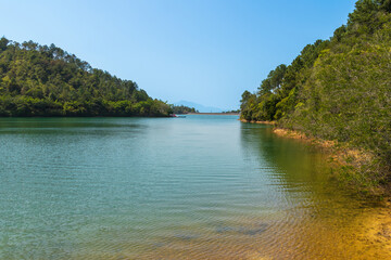 Serene Lakeside Scenery in Sunlight