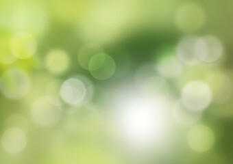 Green bokeh abstract background blur