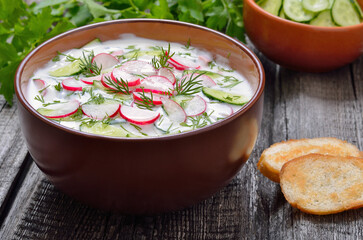 Homemade summer yoghurt cold soup with radish, cucumber, and dill