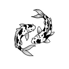 illustration of Koi fish
