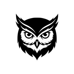 black and white owl face
