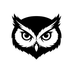 black and white owl face
