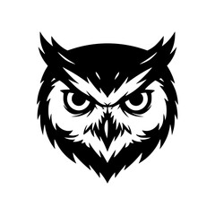 black and white owl face